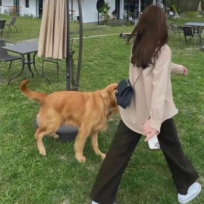 我在这里笑